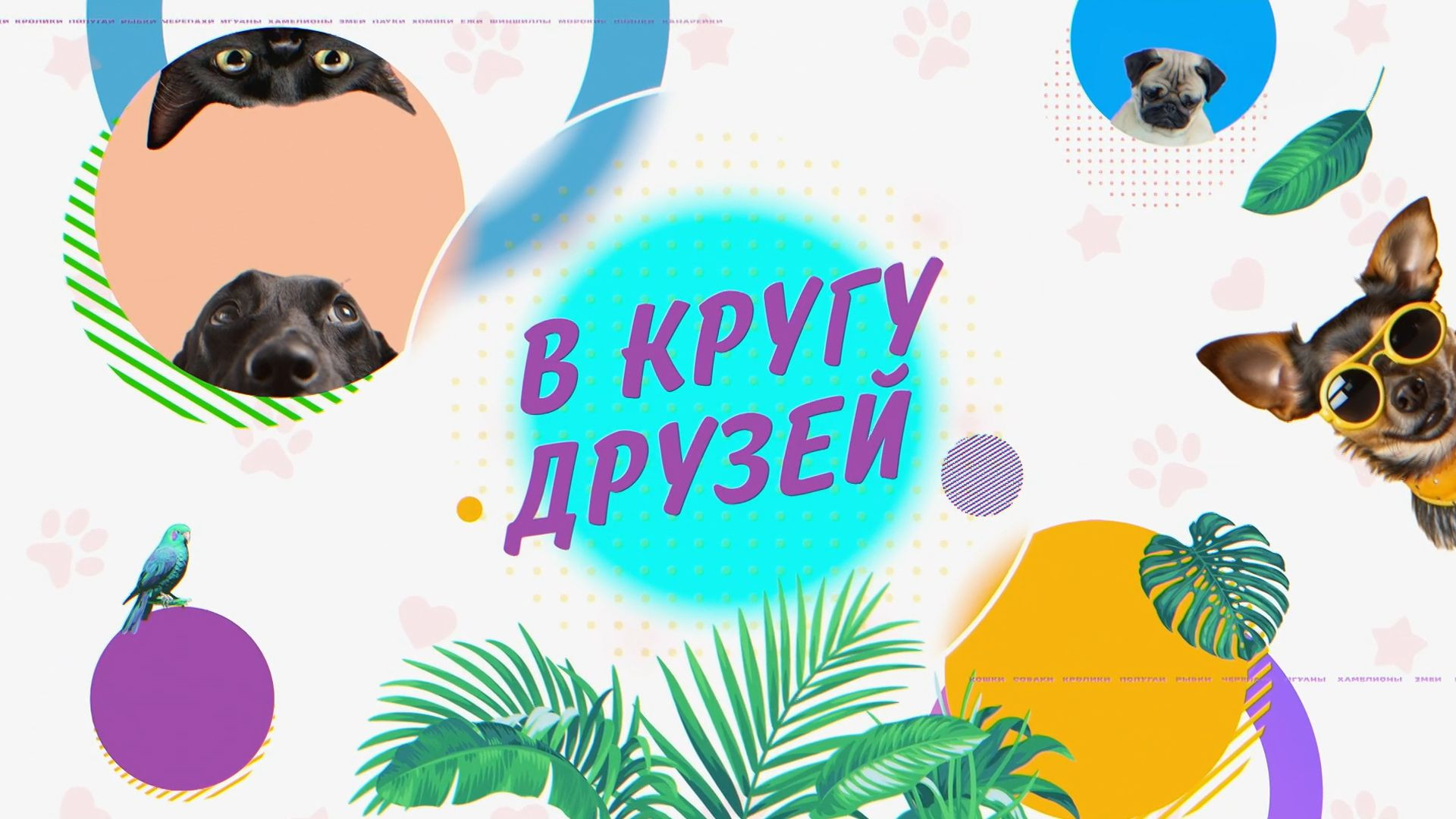 В кругу друзей 02.08.2026