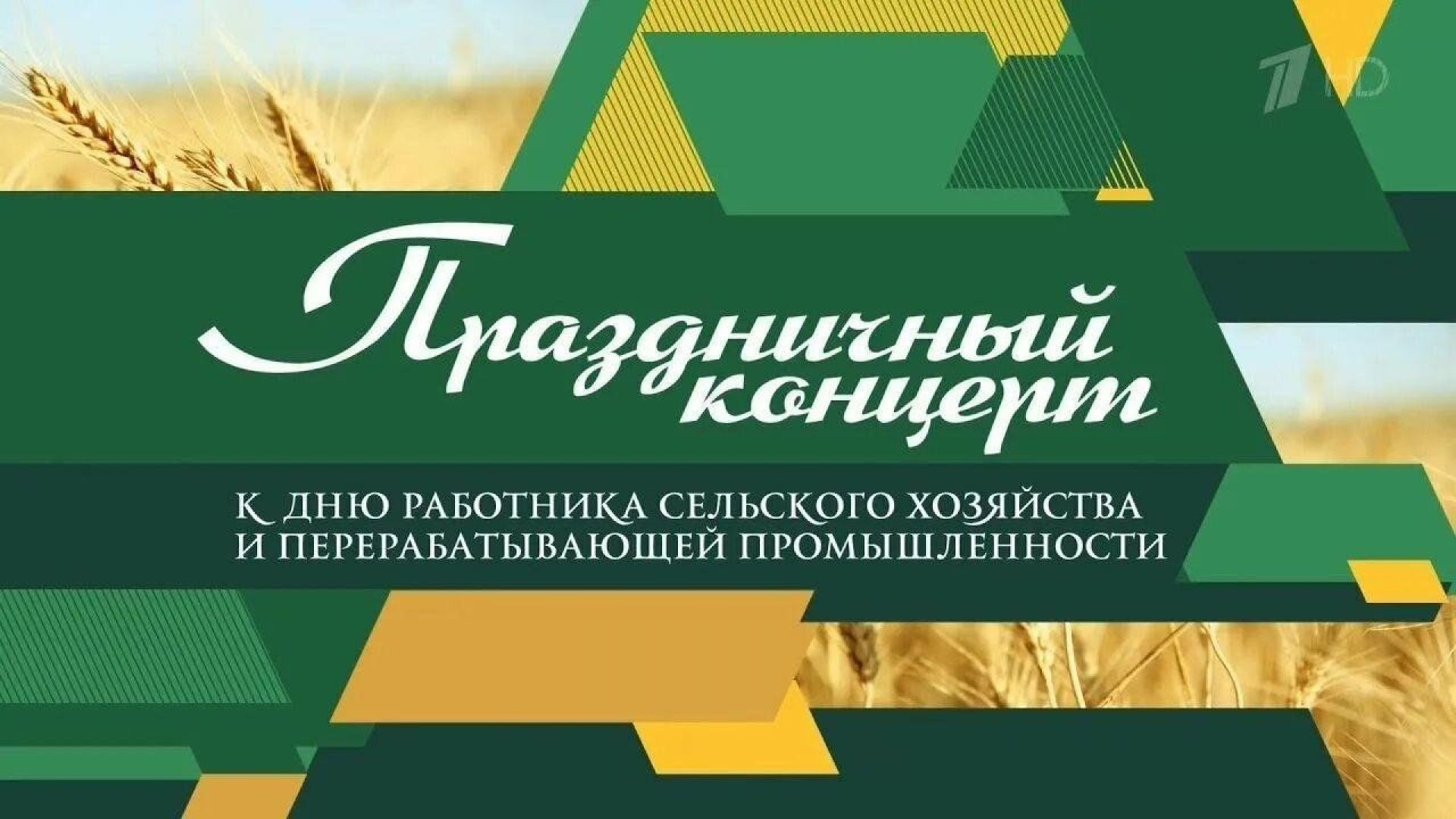 ⁣Праздничный концерт ко дню работника сельского хозяйства 11.10.2026