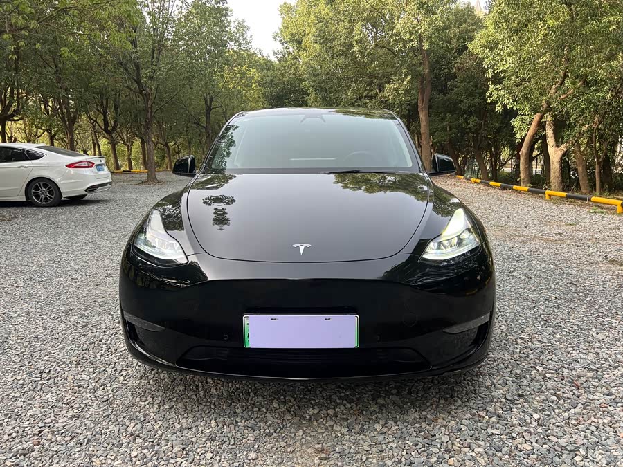 Model Y 2021 Performance All-Wheel Drive