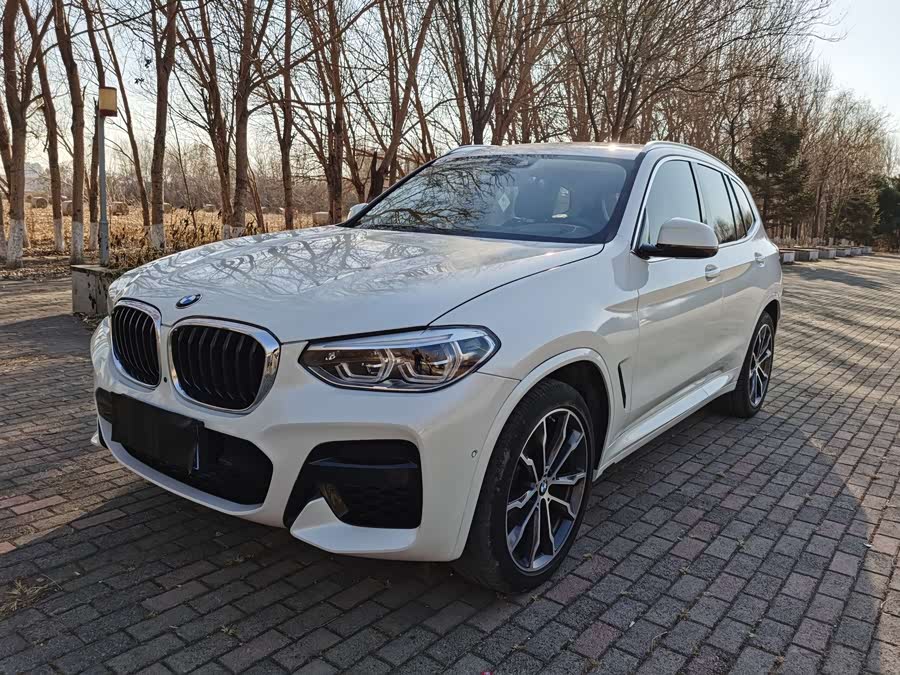 BMW X3 2021 xDrive30i Leading M Sport Package