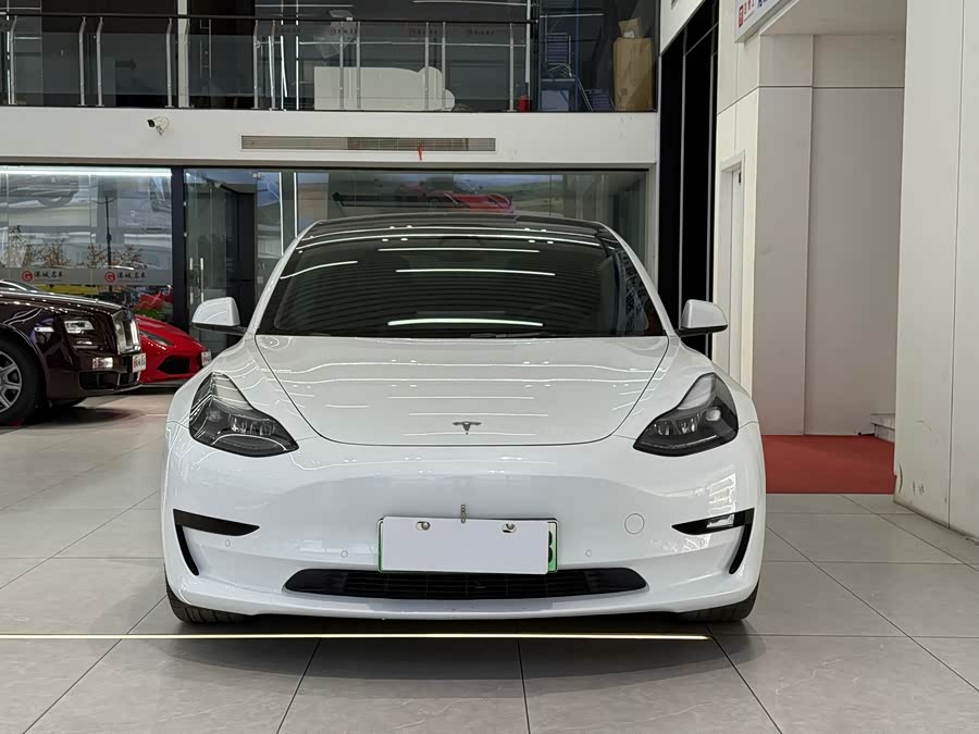 Model 3 2021 Facelift Standard Range Rear-Wheel Drive Upgrade Version 3D1