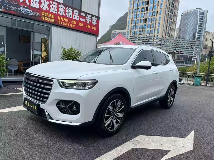 Haval H6 2021 1.5T Automatic Champion Edition