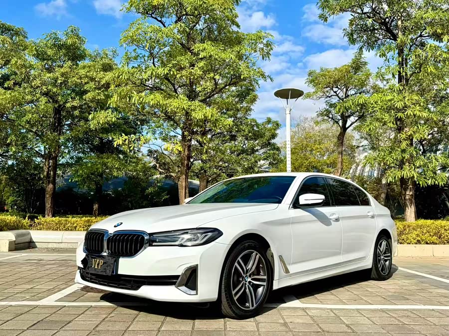 BMW 5 Series 2021 530Li Leading Luxury Package