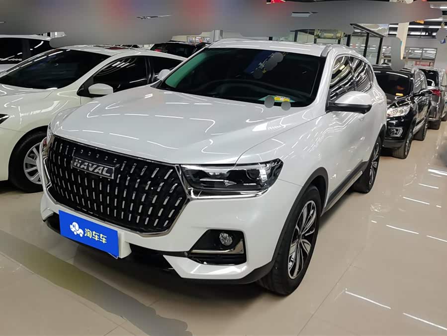 Haval H6 2023 National Trend Edition 1.5T Automatic Champion Edition