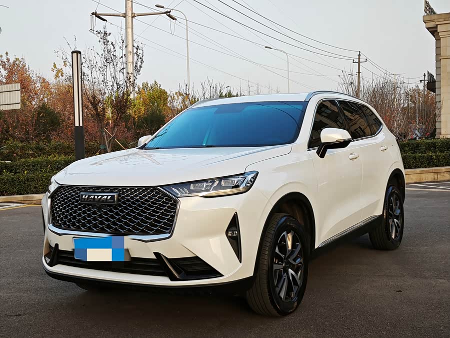 Haval H6 2021, Third Generation 1.5T Automatic Two-Wheel Drive Pro