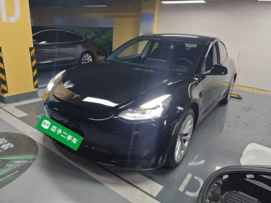 Model 3 2021 Standard Range Rear-Wheel Drive Upgrade 3D6