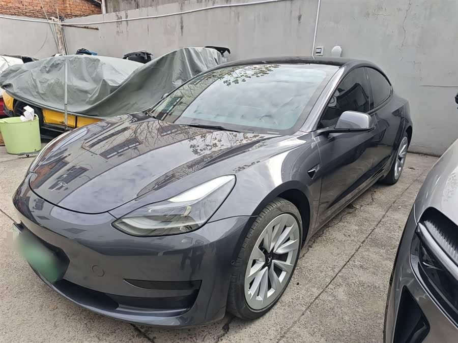 Model 3 2021 Standard Range Rear-Wheel Drive Upgrade 3D6