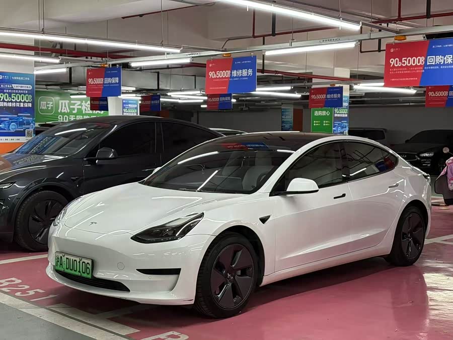 Model 3 2021 Facelift Standard Range Rear-Wheel Drive Upgrade Version 3D1