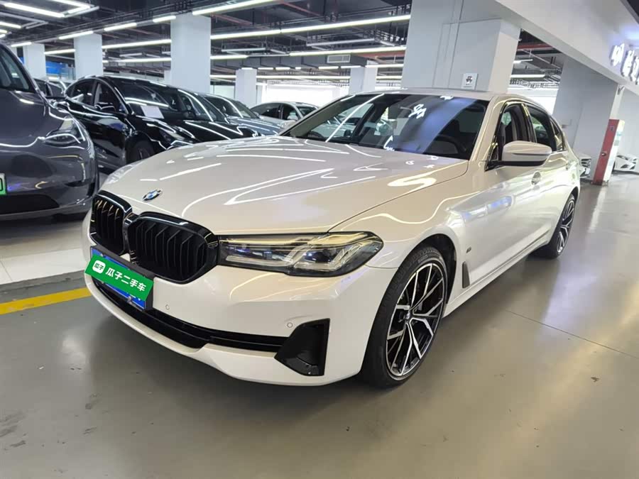 BMW 5 Series 2021 530Li Leading Luxury Package