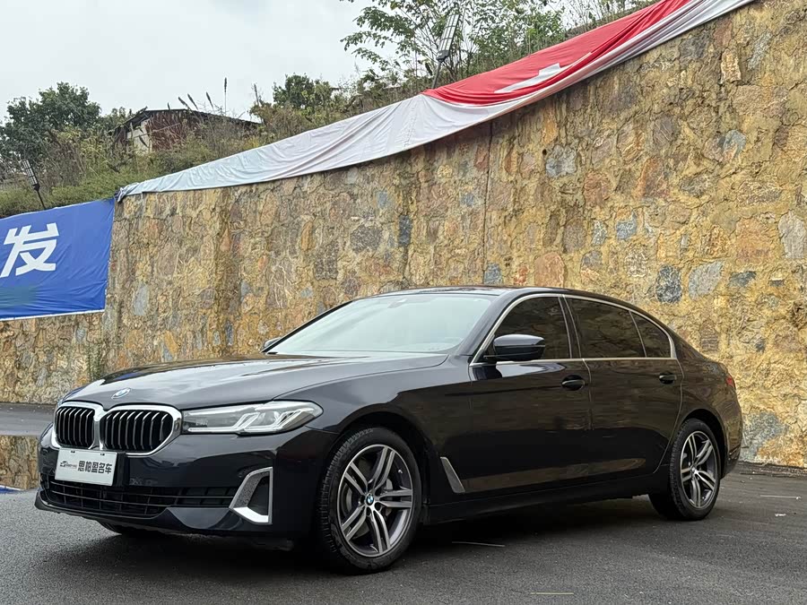 BMW 5 Series 2021 530Li Leading Luxury Package