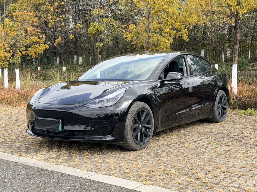 Model 3 2022 Rear-Wheel Drive