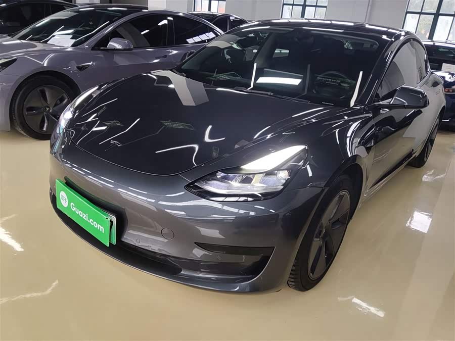 Model 3 2021 Standard Range Rear-Wheel Drive Upgrade 3D6