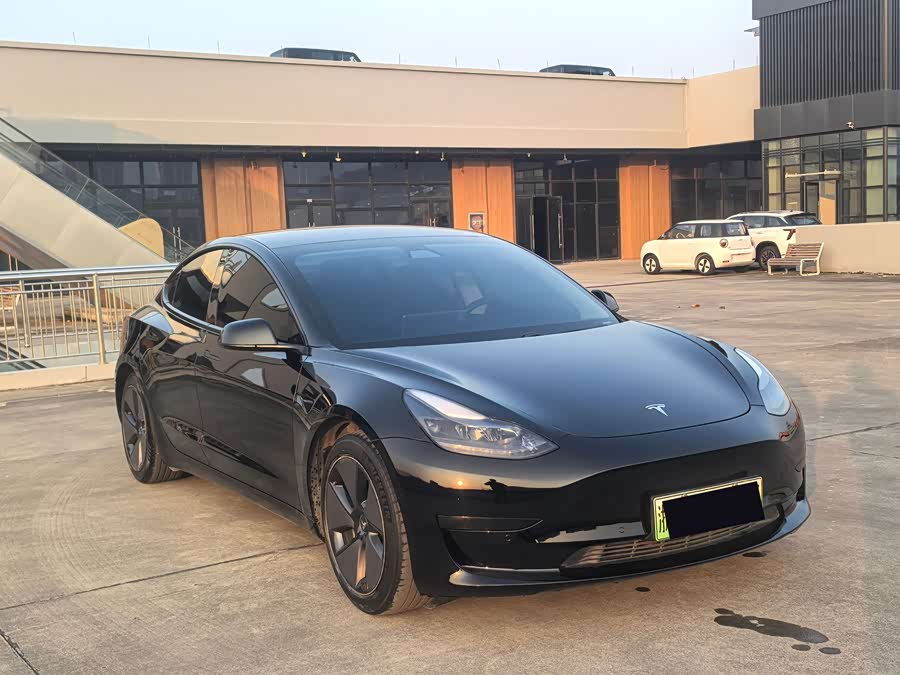 Model 3 2021 Standard Range Rear-Wheel Drive Upgrade
