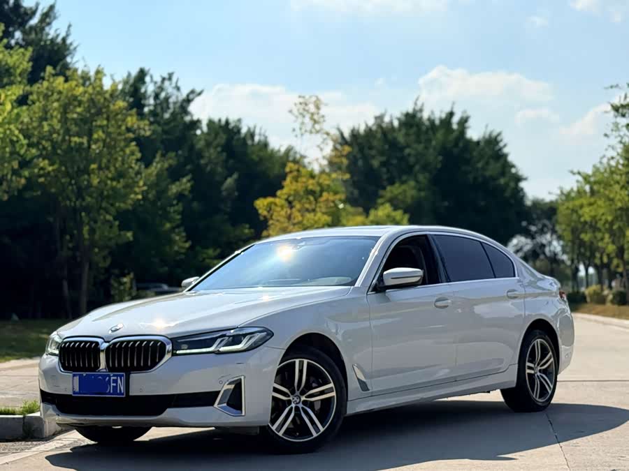 2021 BMW 5 Series 530Li xDrive Luxury Package