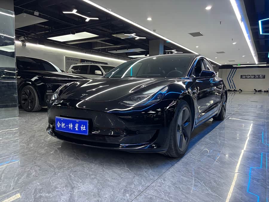 Model 3 2021 Facelift Standard Range Rear-Wheel Drive Upgrade Version 3D1