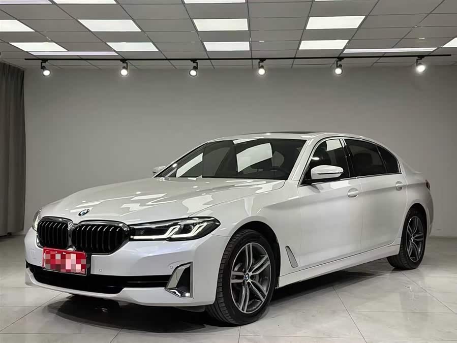 BMW 5 Series 2021 530Li Leading Luxury Package