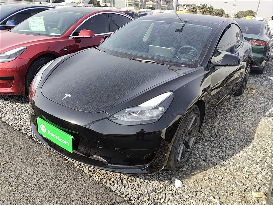 Model 3 2021 Standard Range Rear-Wheel Drive Upgrade 3D6