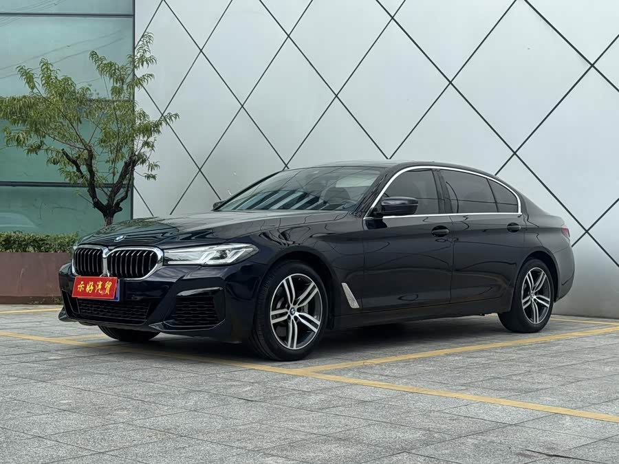 BMW 5 Series 2021 530Li Leading Luxury Package