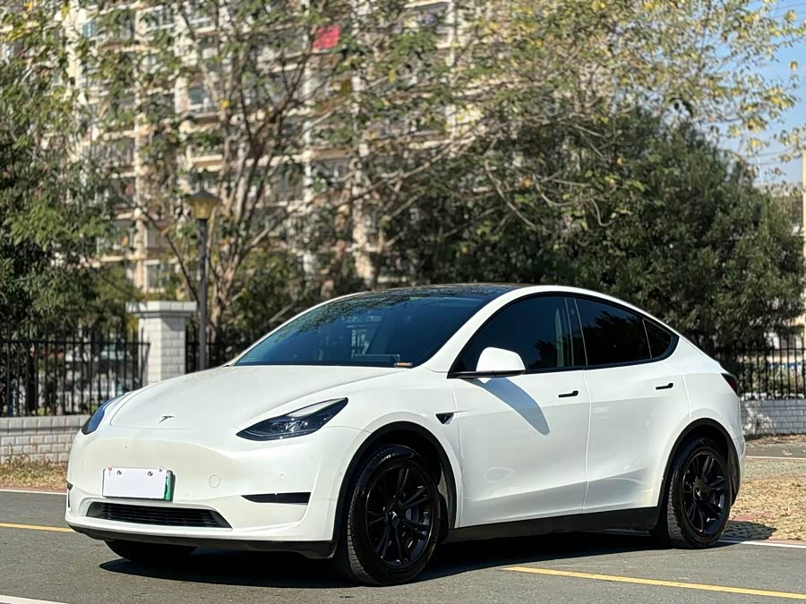 Model Y 2022 Facelift Rear-Wheel Drive Version