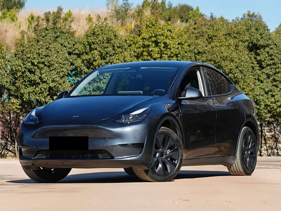 Model Y 2024 Rear-Wheel Drive