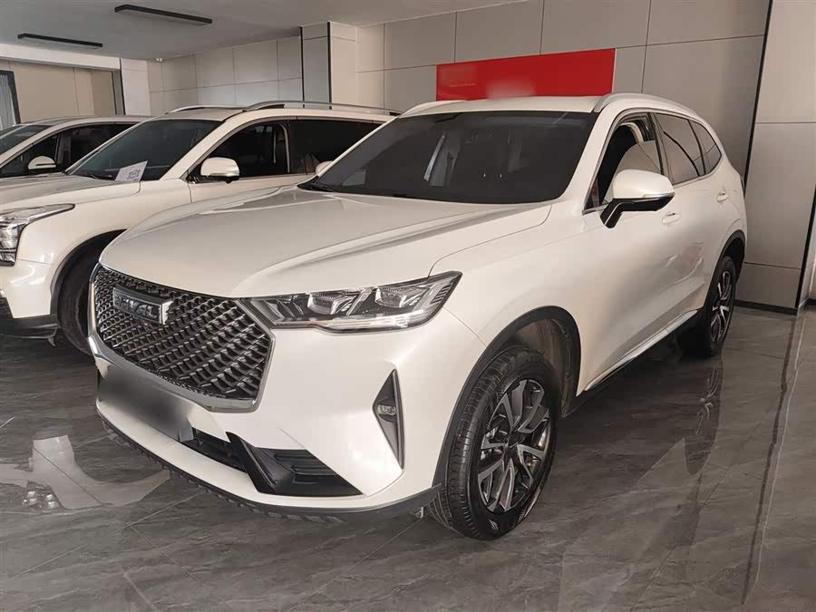 Haval H6 2022 Third Generation 1.5T Automatic Two-Wheel Drive Pro