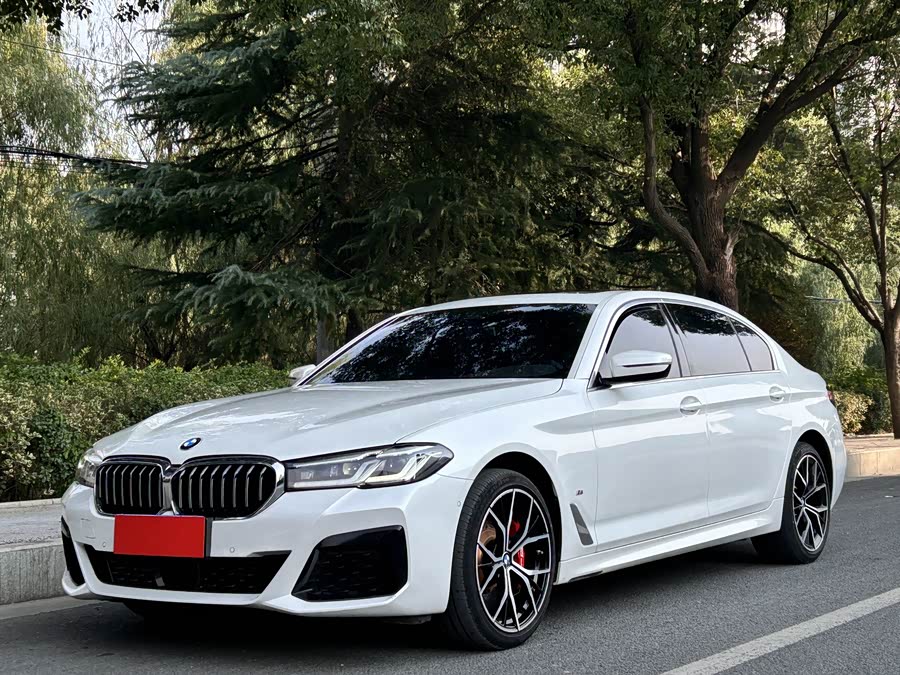 2022 BMW 5 Series Facelift 530Li xDrive M Sport Package