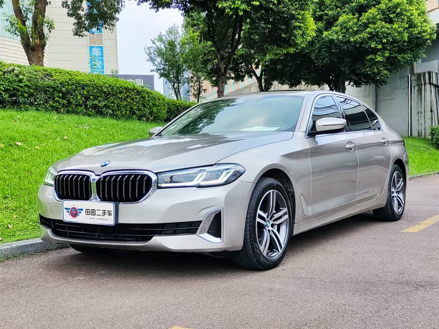 BMW 5 Series 2021 530Li Leading Luxury Package