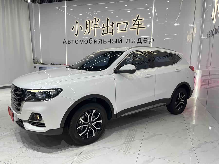 Haval H6 2021 National Trend Edition 1.5T Automatic Urban Edition