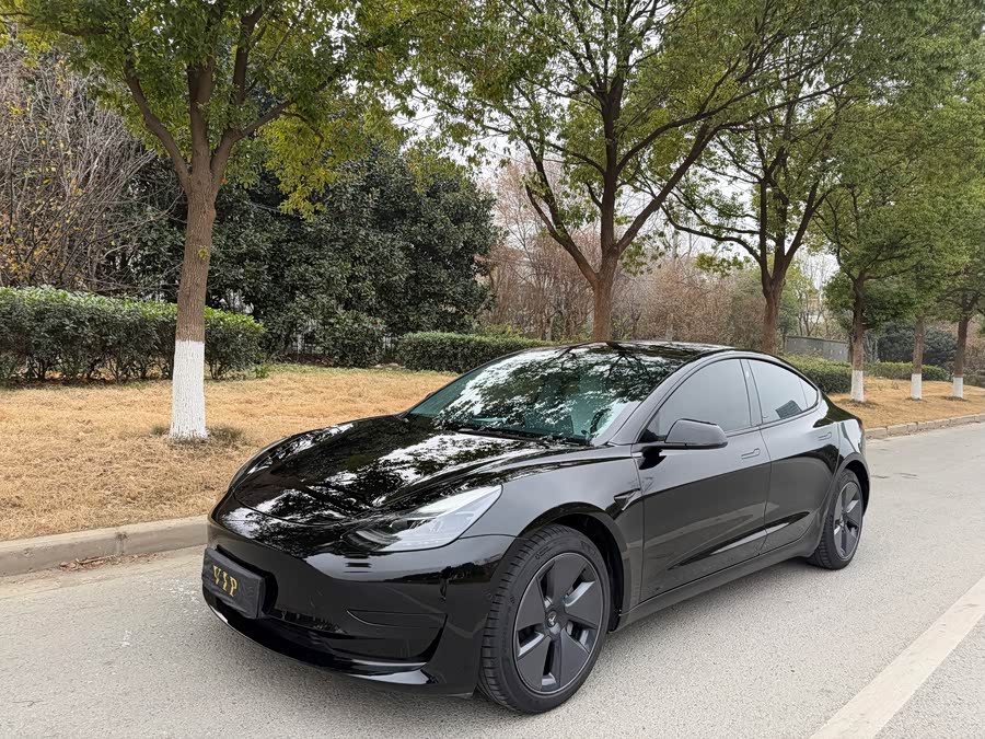 Model 3 2021 Standard Range Rear-Wheel Drive Upgrade 3D6