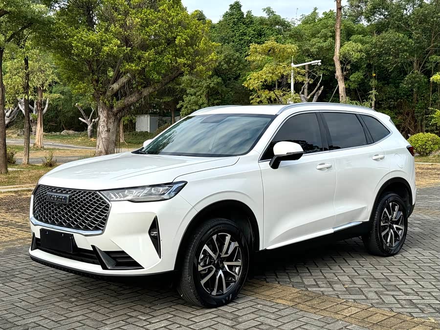 Haval H6 2022 Third Generation 1.5T Automatic Two-Wheel Drive Pro
