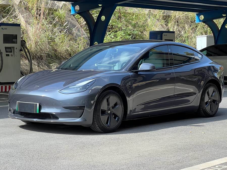 Model 3 2021 Standard Range Rear-Wheel Drive Upgrade 3D6