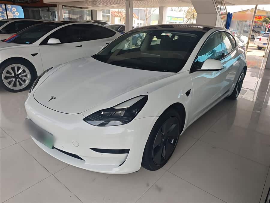 Model 3 2021 Standard Range Rear-Wheel Drive Upgrade