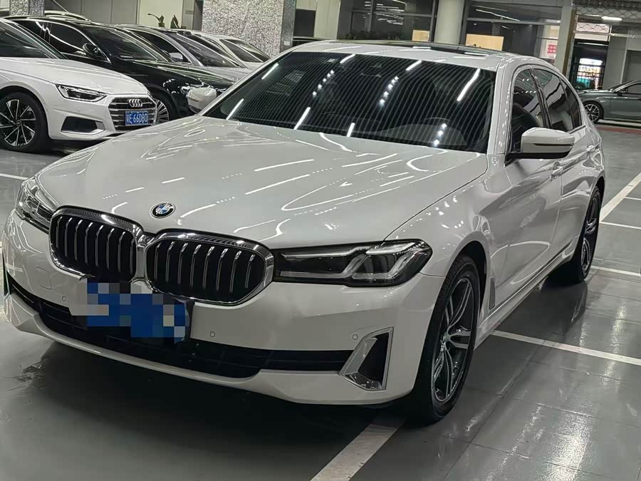 BMW 5 Series 2021 530Li Leading Luxury Package