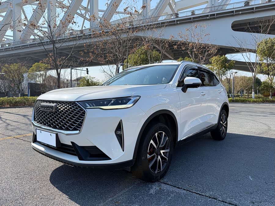 Haval H6 2022 Third Generation 1.5T Automatic Two-Wheel Drive Pro