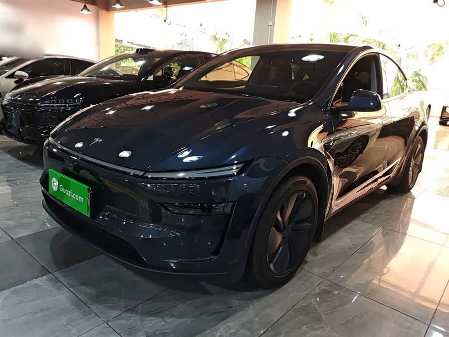 Model Y 2025 Long Range All-Wheel Drive