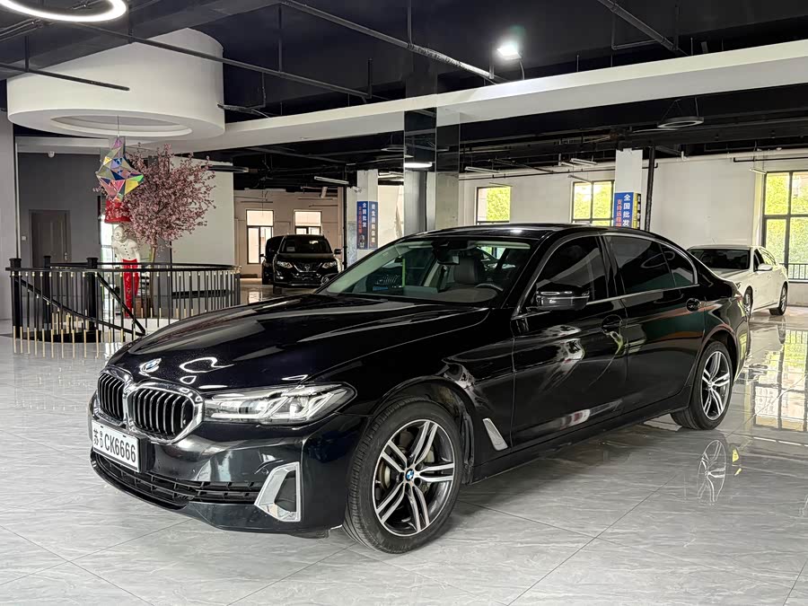 BMW 5 Series 2021 530Li Leading Luxury Package