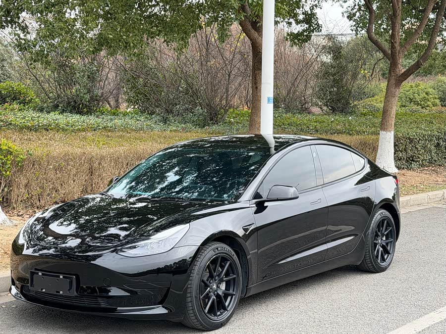 Model 3 2021 Standard Range Rear-Wheel Drive Upgrade 3D6