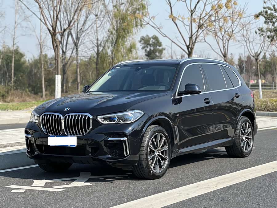 BMW X5 2022 xDrive 30Li M Sport Package