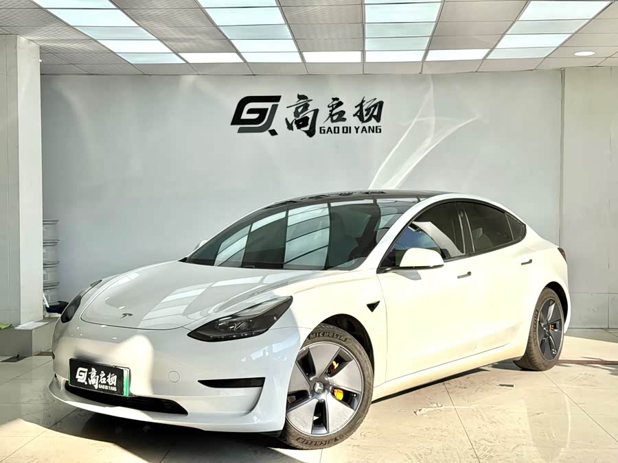 Model 3 2021 Facelift Standard Range Rear-Wheel Drive Upgrade Version 3D1