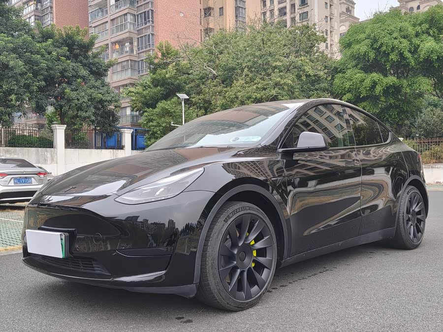 Model Y 2022 Rear-Wheel Drive