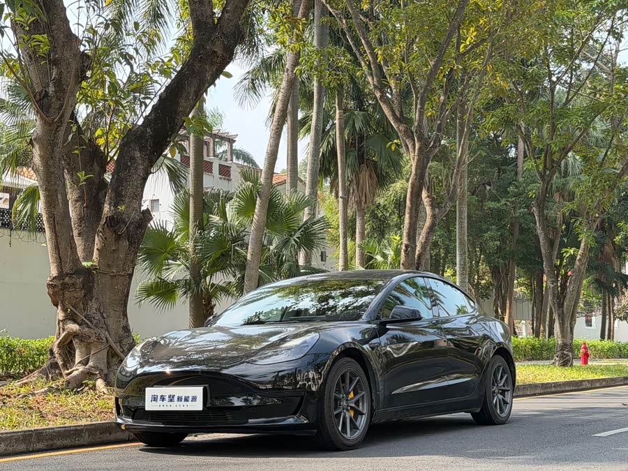 Model 3 2022 Rear-Wheel Drive