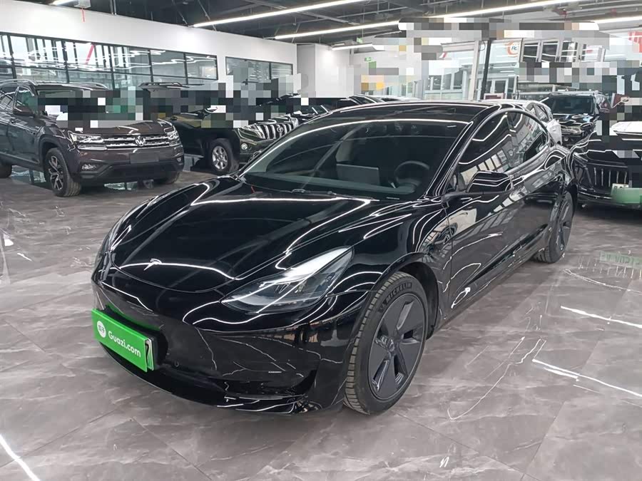 Model 3 2021 Standard Range Rear-Wheel Drive Upgrade 3D6