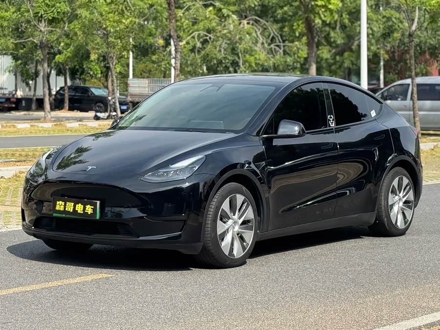 Model Y 2022 Rear-Wheel Drive