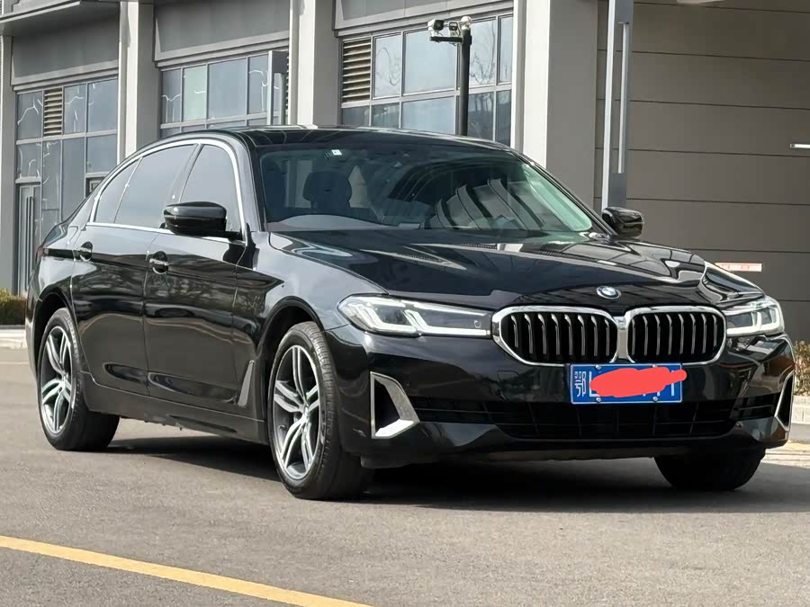 BMW 5 Series 2021 530Li Leading Luxury Package