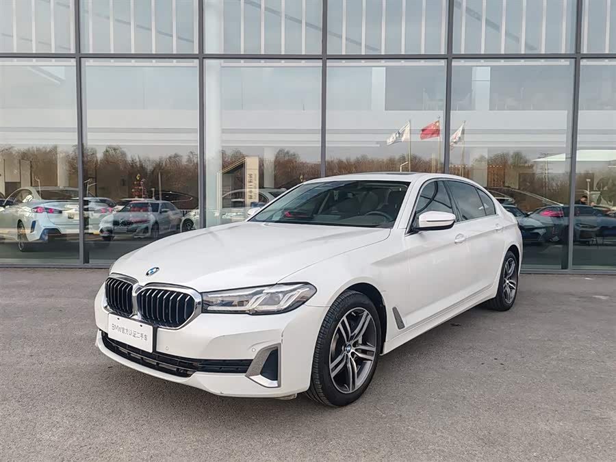 BMW 5 Series 2021 530Li Leading Luxury Package
