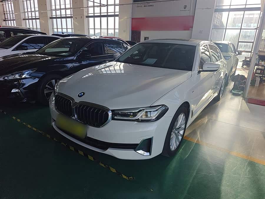 2021 BMW 5 Series 525Li Luxury Package