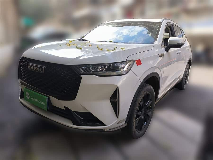 Haval H6 2021 Model, Third Generation, 2.0T Automatic Four-Wheel Drive Max