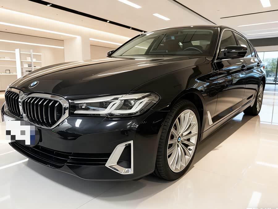 BMW 5 Series 2021 530Li Luxury Package