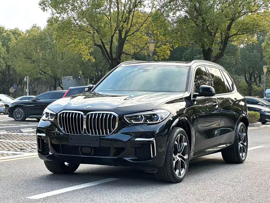 BMW X5 2022 Facelift xDrive 40Li M Sport Package