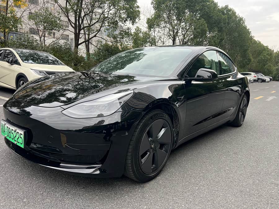 Model 3 2021 Standard Range Rear-Wheel Drive Upgrade